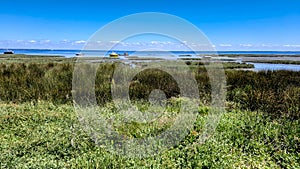 Landscape on Lacanau lake in wild nature in medoc France