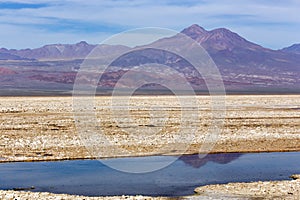 A landscape at lagoon Chaxa