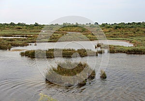 Landscape lagoon near Venice