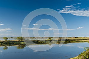 Landscape of the lagoon at the Po delta river national park, Italy.