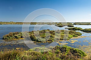 Landscape of the lagoon at the Po delta river national park, Italy.