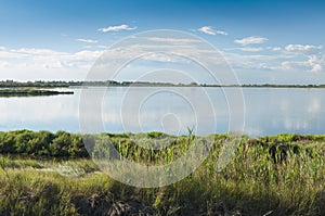 Landscape of the lagoon at the Po delta river national park, Italy.