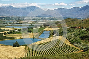 Landscape of lagoons and vineyards from Gydo Pass,