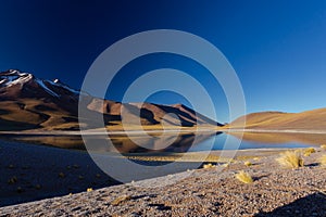 Landscape of Laguna Miscanti surrounded by central andean dry puna grass. Taken during during the sunrise at Laguna Miscanti and