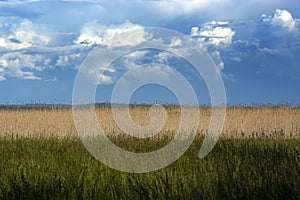 Landscape of Lake Balaton, Hungary