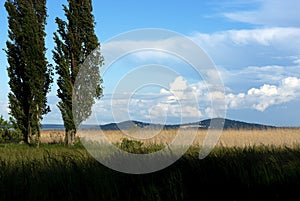 Landscape of Lake Balaton, Hungary