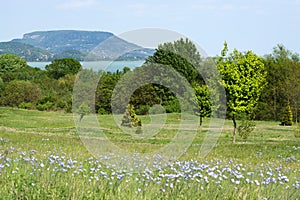 Landscape of Lake Balaton , Hungary