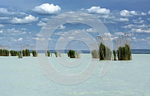 Landscape of Lake Balaton from Szigliget