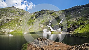 Landscape Lake in Carpathian Mountains, Roumania