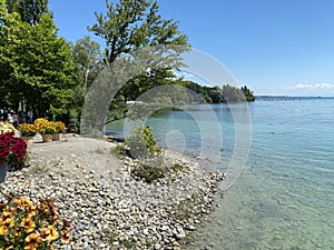 Landscape of the Lake Constance by the Mainau Island - Flower Island Mainau on the Lake Constance or Die Blumeninsel im Bodensee