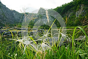 Landscape Lake, forest, sky