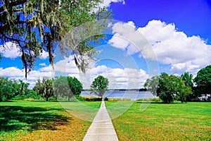 The landscape of Lake Gibson in Lakeland, Florida