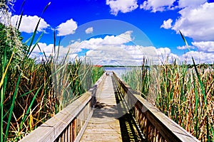 The landscape of Lake Gibson in Lakeland, Florida