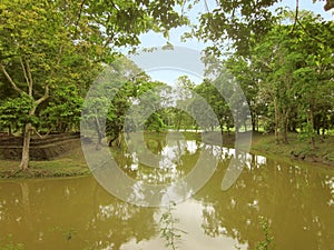 Landscape of lake in green forest