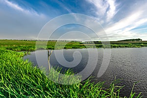 Landscape with lake and green summer meadow