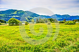 Landscape at lake GrÃÂ¼ntensee