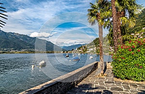 Landscape of Lake Maggiore with mountains and Magadino village in the background from Vira Gambarogno village, Switzerland