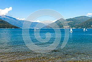 Landscape of Lake Maggiore with racing sailboats, Italy