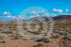 Landscape in Lake MeadNational Recreation Area, USA