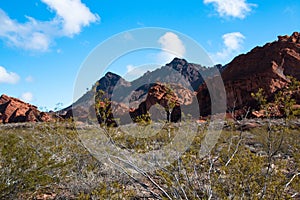 Landscape in Lake MeadNational Recreation Area, USA