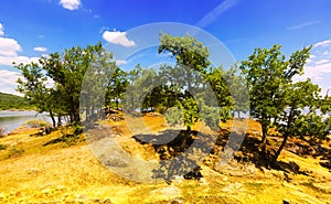 Landscape with lake and oaks