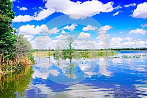 The landscape of Lake parker in Lakeland, Florida