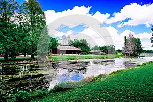 The landscape of Lake parker in Lakeland, Florida