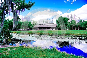 The landscape of Lake parker in Lakeland, Florida