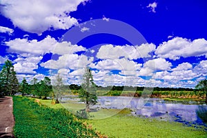 The landscape of Lake parker in Lakeland, Florida