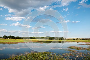 Landscape with lake and pasture.