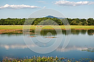 Landscape with lake and pasture.