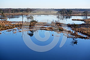 Landscape at lake reflection water vegetation trees fen pond