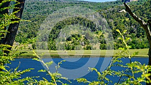 Landscape of lake Rosales photo