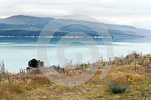 Landscape with lake in the south of New Zealand
