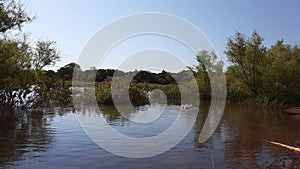 Landscape in the lake of Stanley Draper Lake Oklahoma Citys