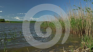 Landscape by the lake in summer on a sunny day