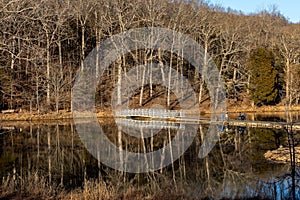 Landscape of a lake surrounded by bare trees in Dunbar Cave State Park, Clarksville, Tennessee