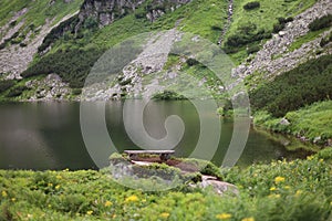 Krajina jezera obklopená zelení v přírodě na Slovensku