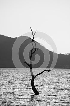 Landscape lake in Thailand