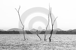 Landscape lake in Thailand