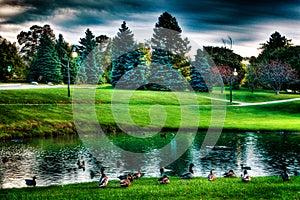 Landscape of lake and trees