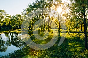 Landscape with lake and trees sunset