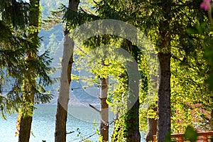 Landscape of the lake and village Valiug, in Banat, Transylvania