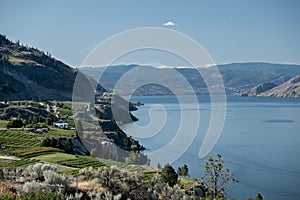 Landscape of lake and vineyard in Summerland