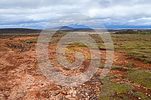 Landmannalaugar moss and orange lava landscape in Iceland Hveravellir.