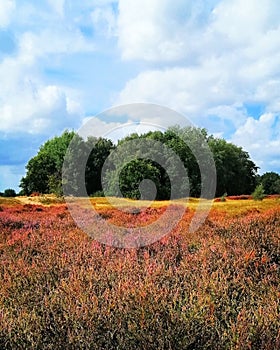 #landscape #landschaft #nature #sky #clouds #nature