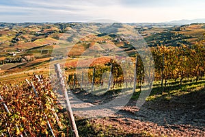 Landscape of langhe vineyards hills. Autumn landscape, beautiful orange and yellow colors. Dolcetto, Nebbiolo, Barbera, Barolo photo