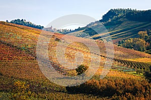 Landscape of langhe vineyards hills. Autumn landscape beautiful colors. Italy