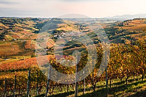 Landscape of langhe vineyards hills. Autumn landscape, beautiful orange and yellow colors. Dolcetto, Nebbiolo, Barbera, Barolo photo