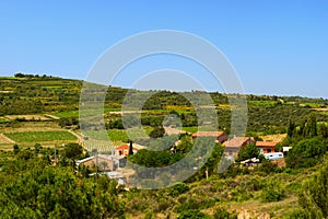 Landscape Languedoc photo